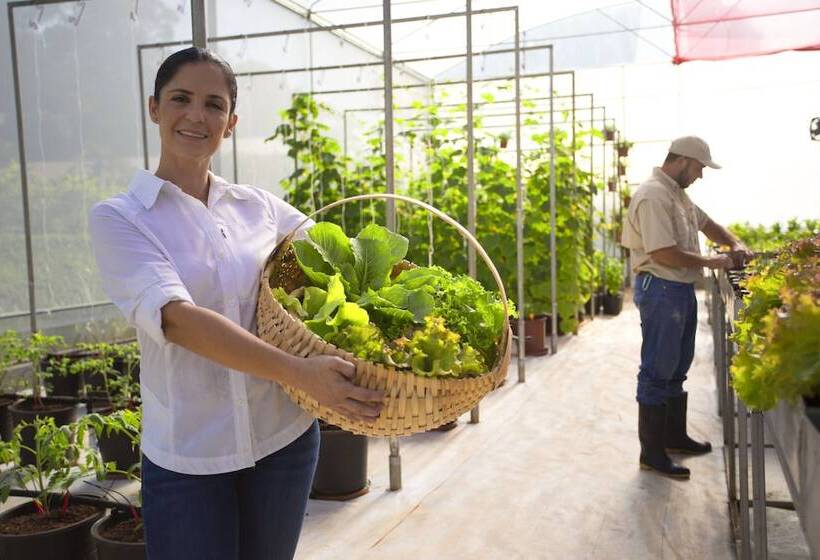 בית מלון כפרי La Finca Lodge