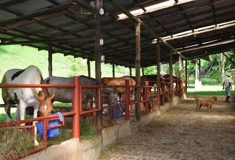 Hotelli La Finca Lodge