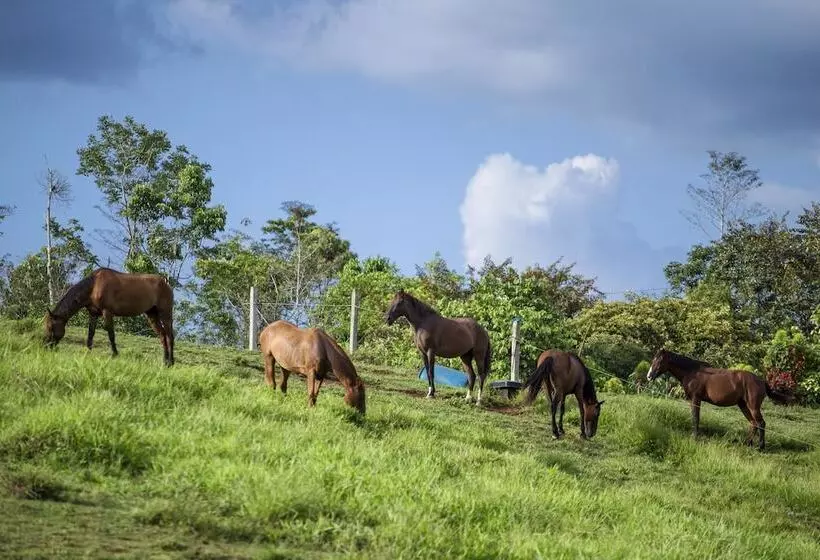 Hotelli La Finca Lodge