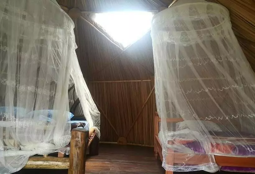 هتل Paradise Eco Hub