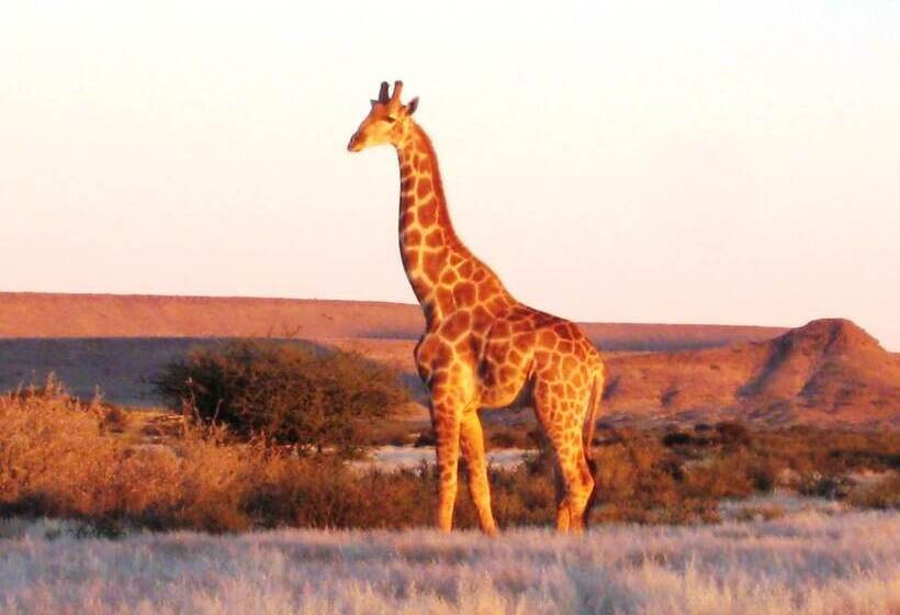 پانسیون Burgsdorf Guest Farm