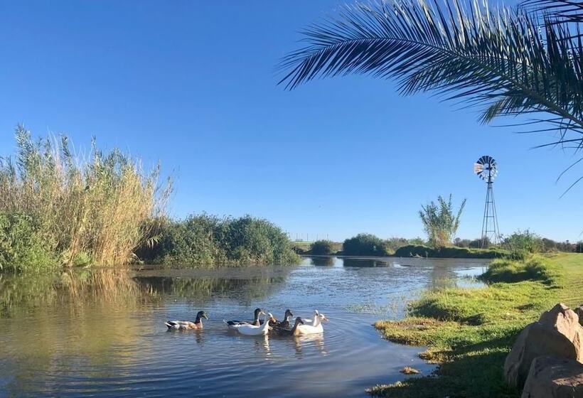 پانسیون Burgsdorf Guest Farm