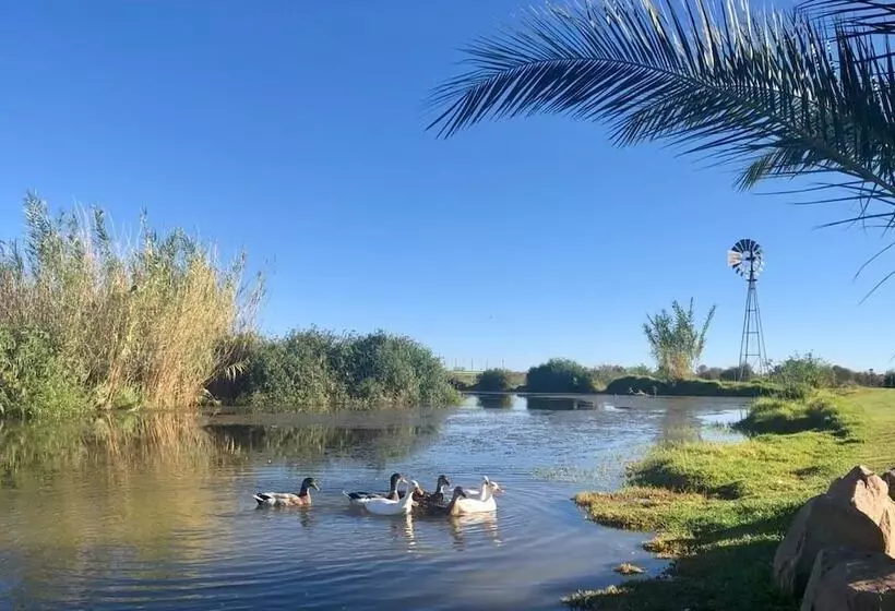 پانسیون Burgsdorf Guest Farm