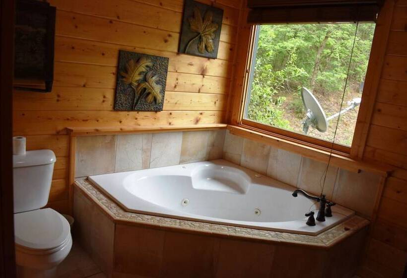 Run About Trout Lodge