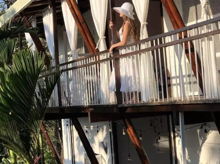 Ballena Dorada Hotel Boutique