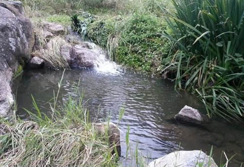 צימר Alma Tierra