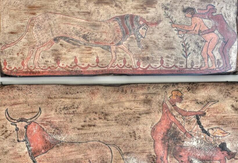 민박 Guest House Qui Dormì L Etrusco