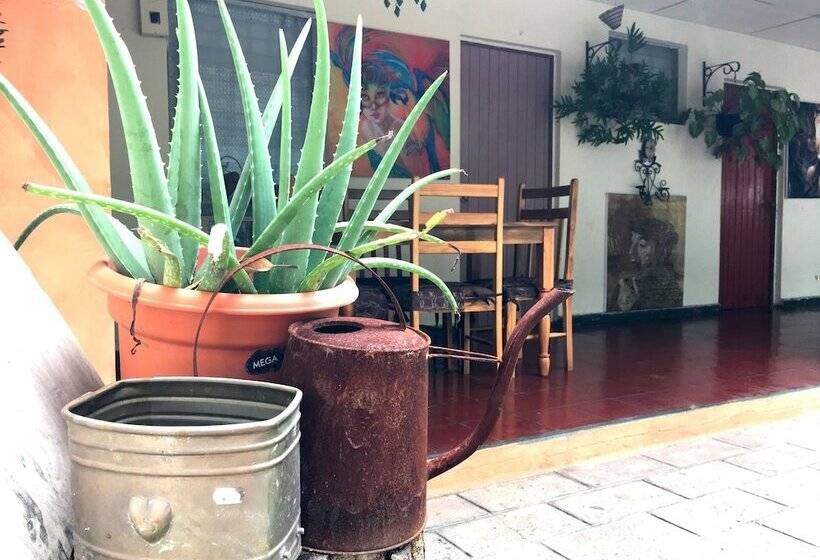 مسافرخانه Trópico Mágico