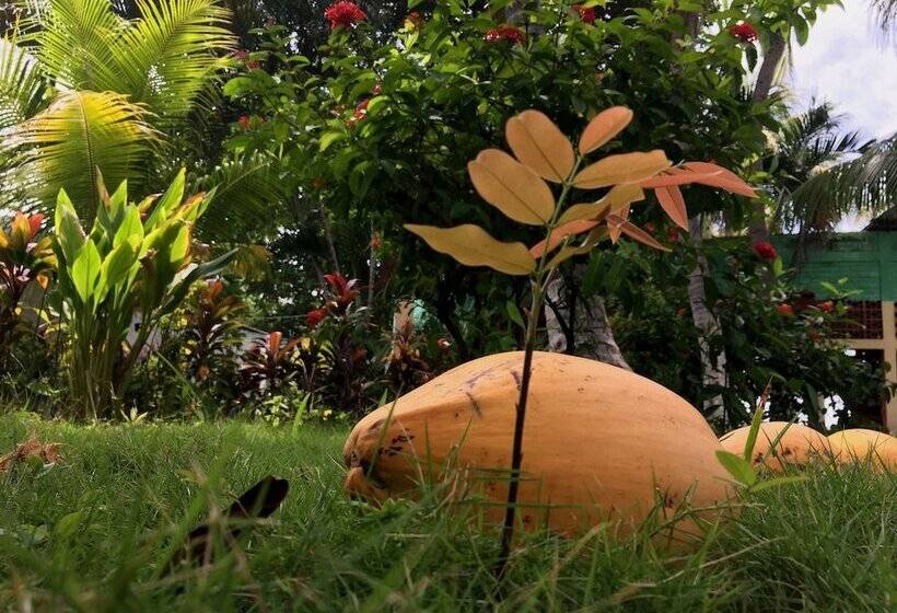 مسافرخانه Trópico Mágico