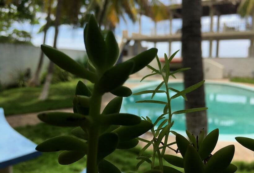 مسافرخانه Trópico Mágico