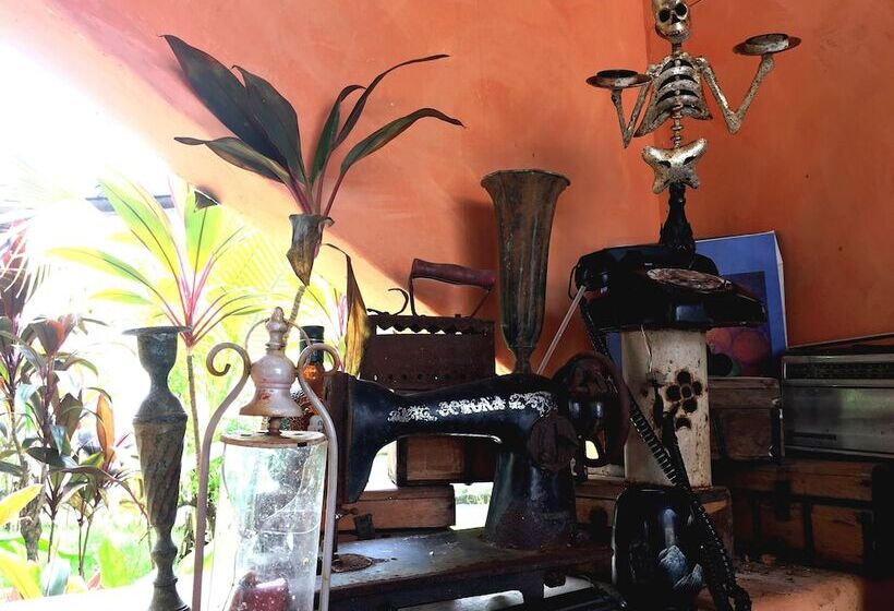 مسافرخانه Trópico Mágico