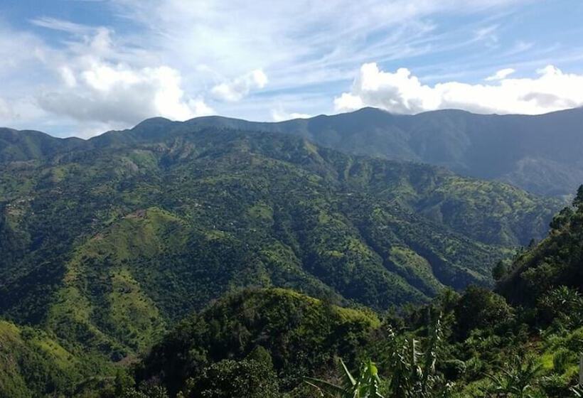 هتل Blue Ridge Restaurant & Cottages