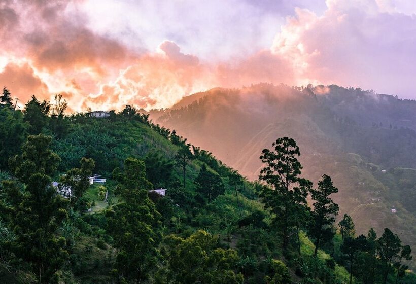 هتل Blue Ridge Restaurant & Cottages