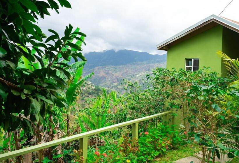 هتل Blue Ridge Restaurant & Cottages