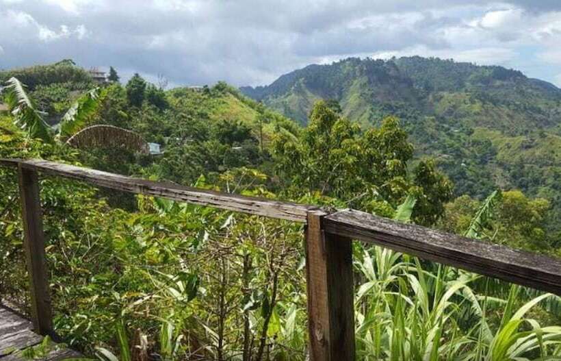 هتل Blue Ridge Restaurant & Cottages