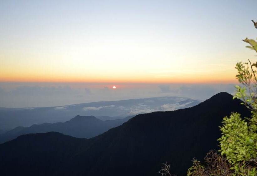 هتل Blue Ridge Restaurant & Cottages