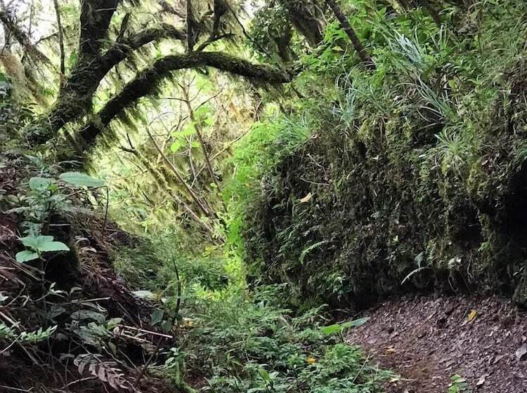 هتل Blue Ridge Restaurant & Cottages