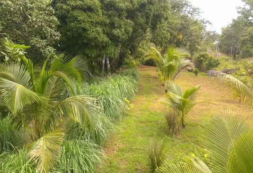 هتل Camp Cabarita