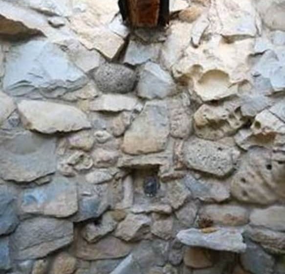 هتل Camp Cabarita