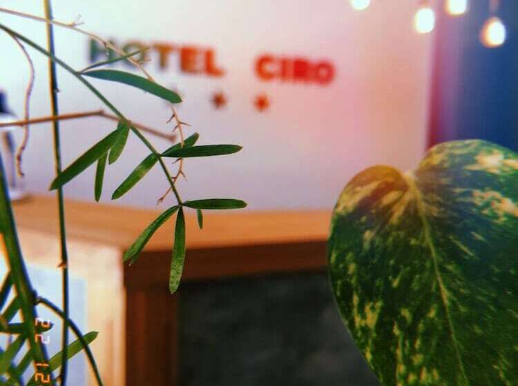 בית מלון כפרי Ciro