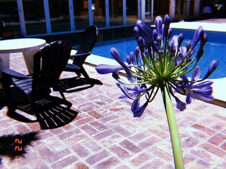 בית מלון כפרי Ciro