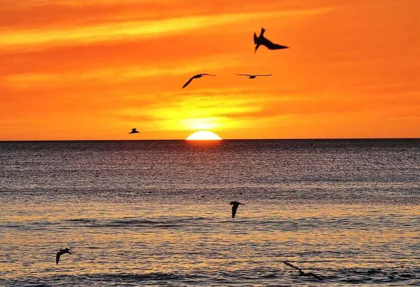 فندق Costa Dulce Ecolodge And Retreat Center