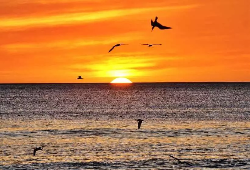 Hotelli Costa Dulce Ecolodge And Retreat Center