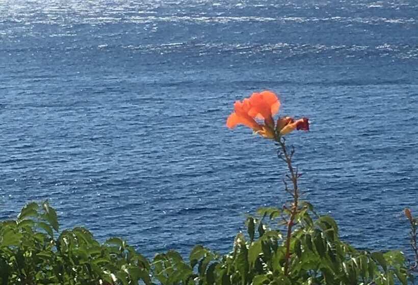 酒店 Daskalio Resort Adamis