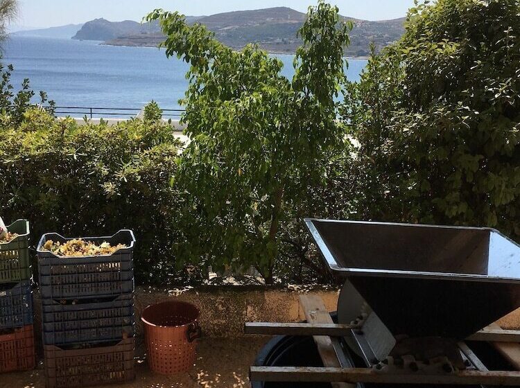 酒店 Daskalio Resort Adamis