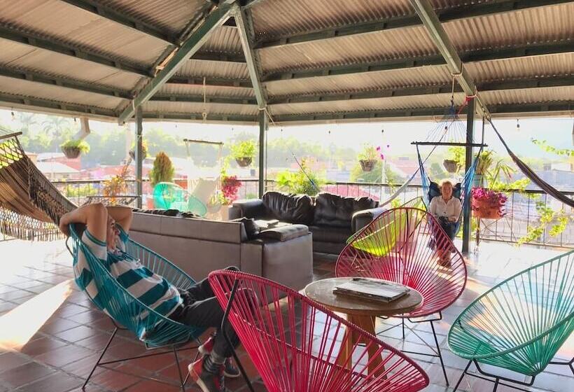 Hotel Hostel La Rosa Nautica