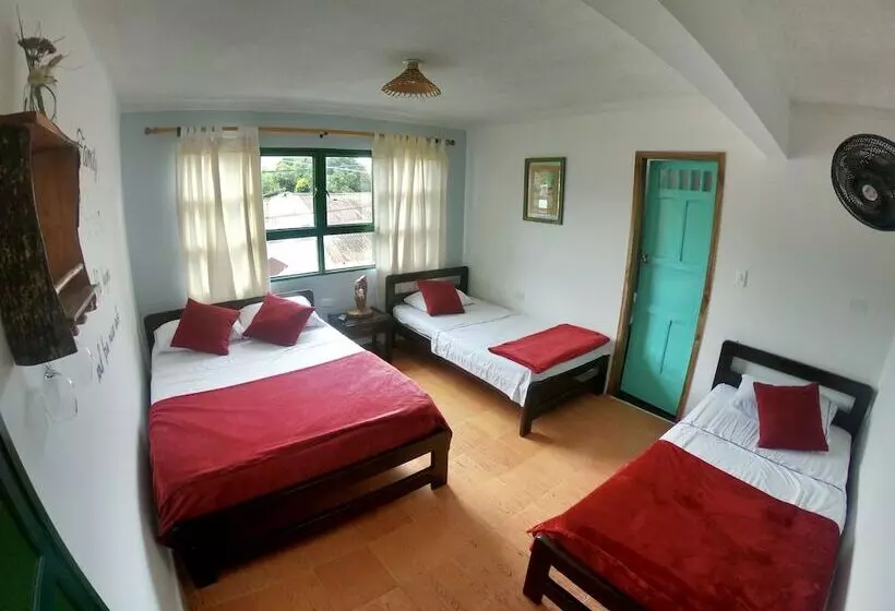 ホテル Hostel La Rosa Nautica