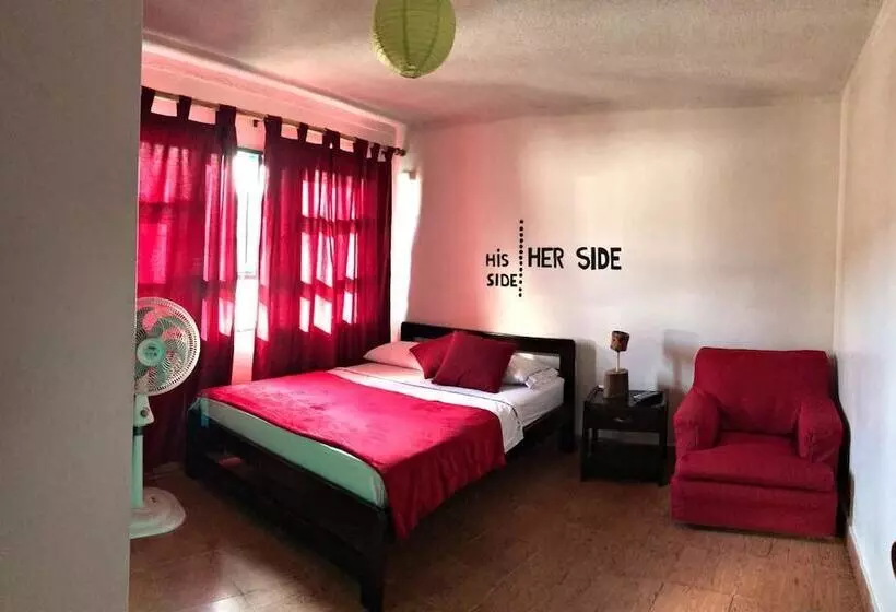 ホテル Hostel La Rosa Nautica