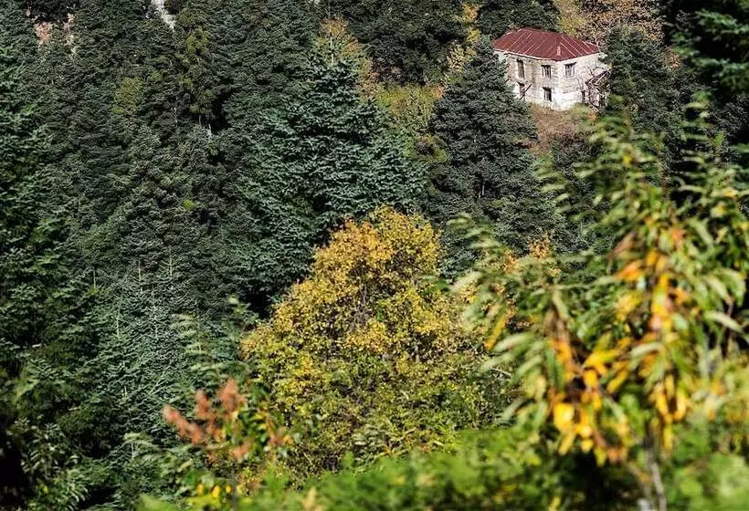 ホテル Koutsikouris