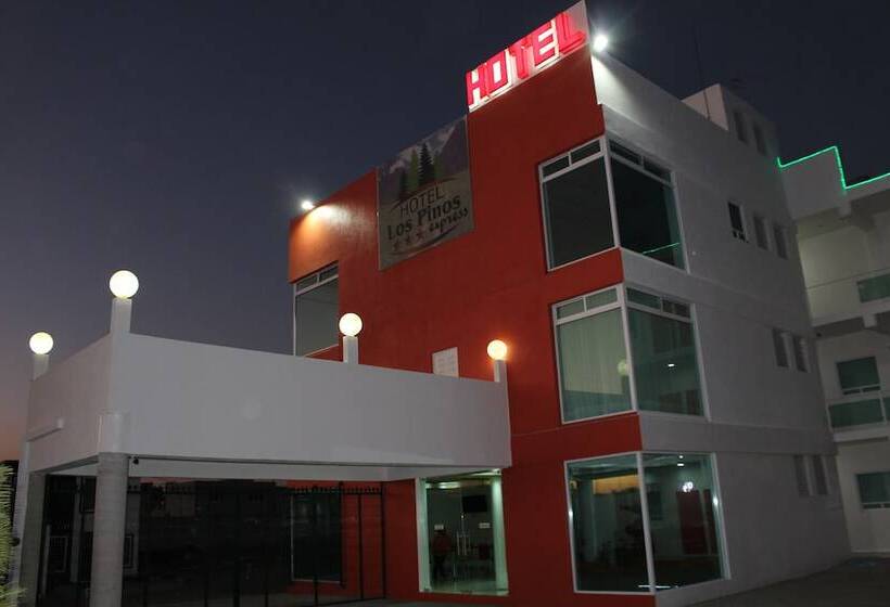 酒店 Los Pinos Express