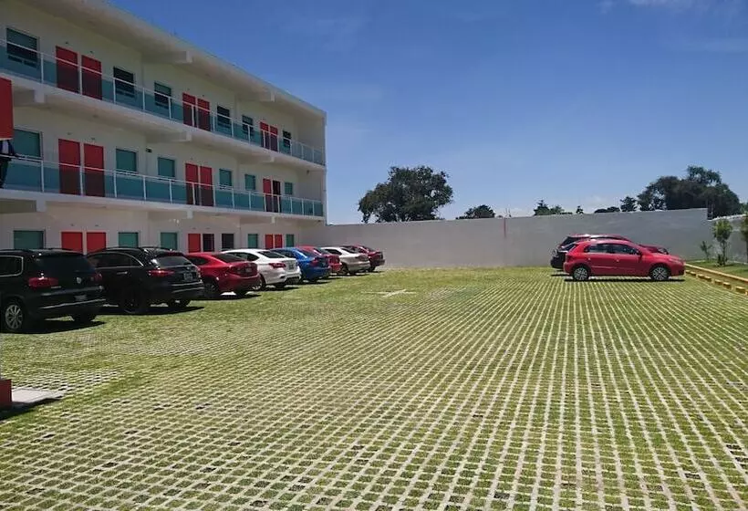 ホテル Los Pinos Express