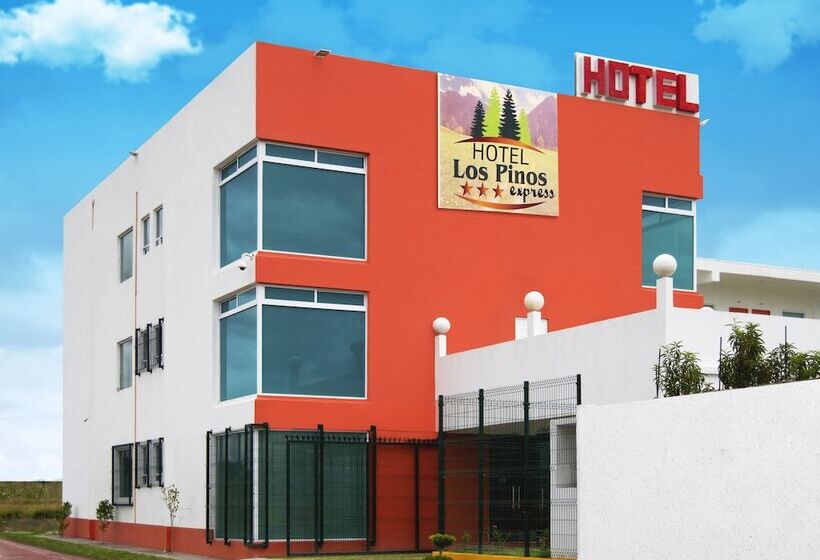 酒店 Los Pinos Express