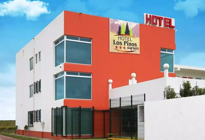 ホテル Los Pinos Express