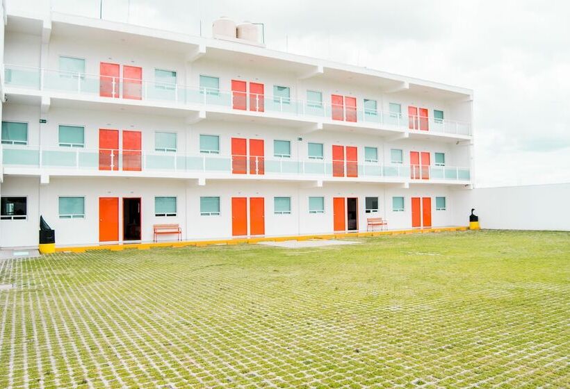 酒店 Los Pinos Express