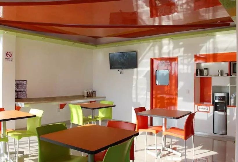 ホテル Los Pinos Express