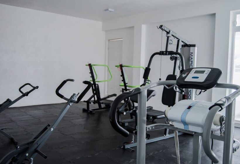 酒店 Los Pinos Express