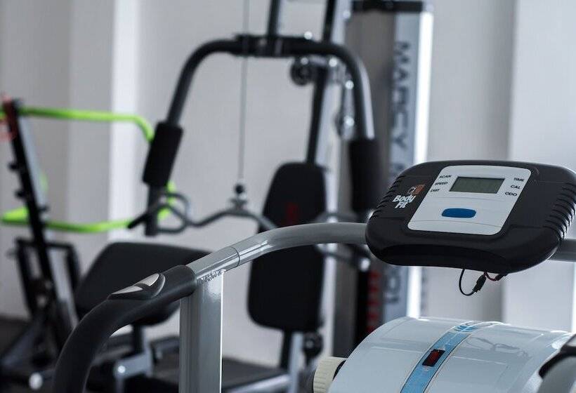 酒店 Los Pinos Express