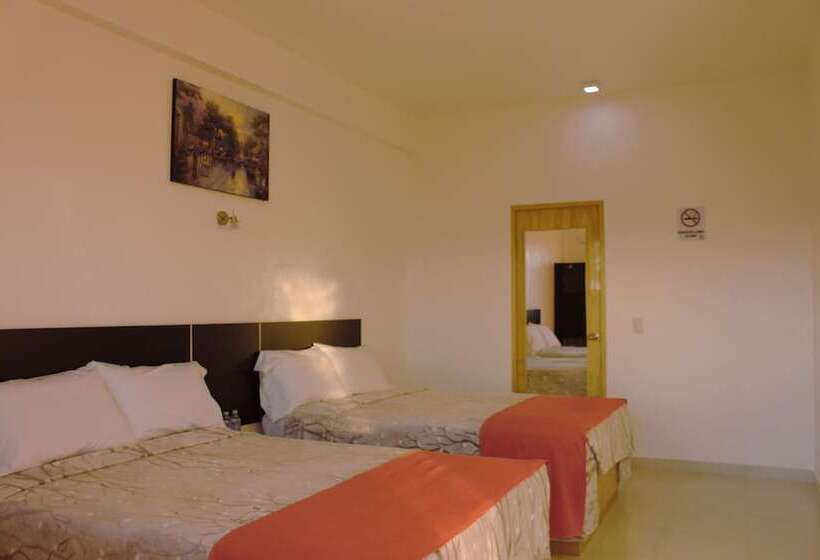 酒店 Los Pinos Express