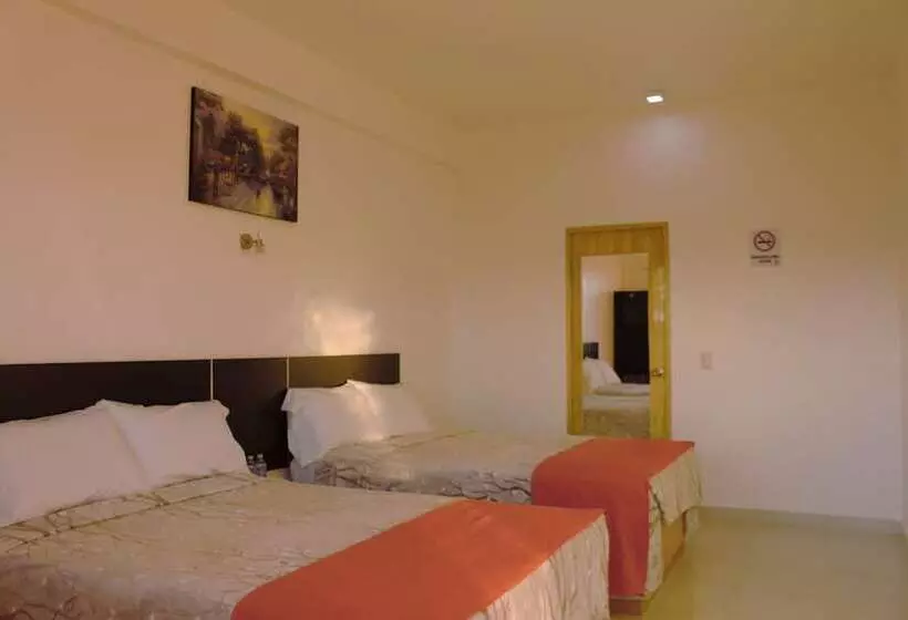 ホテル Los Pinos Express