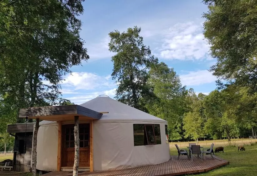 Hotelli Ruka Camp