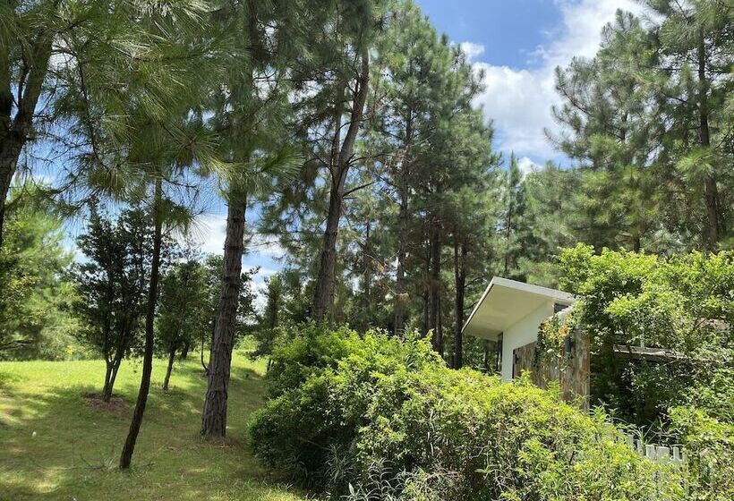 هتل Villa Cbt Flamingo Dai Lai