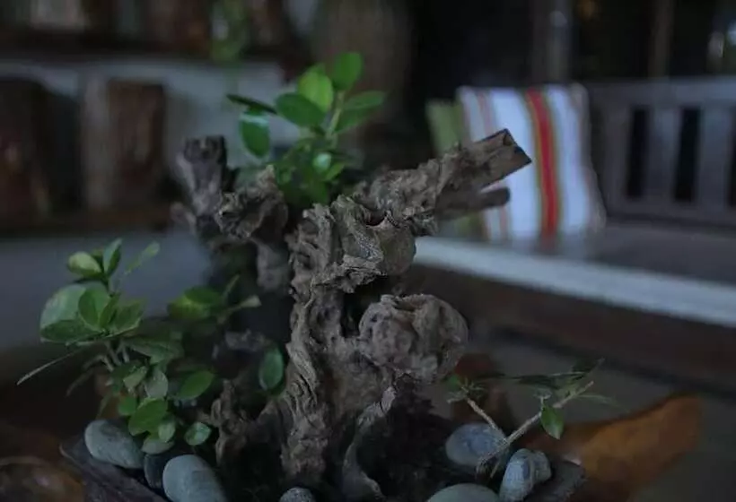 ホテル Villa Elita