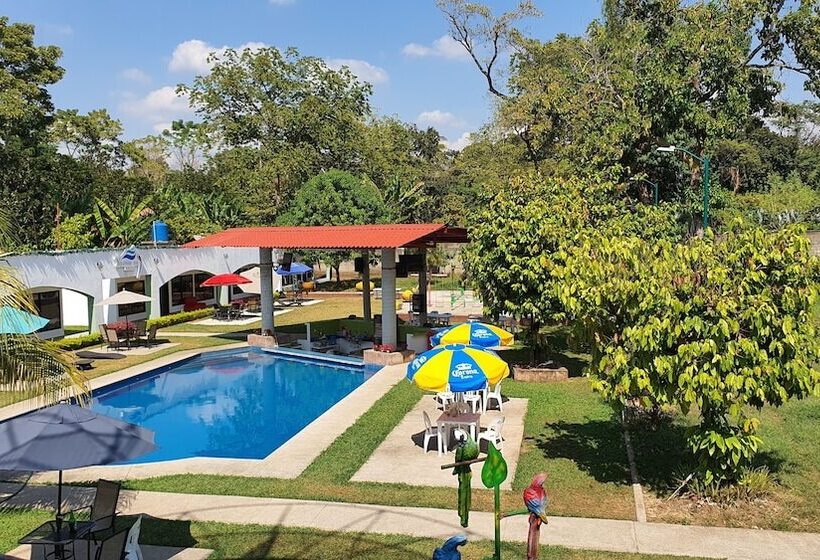 Отель Yolonam Inn