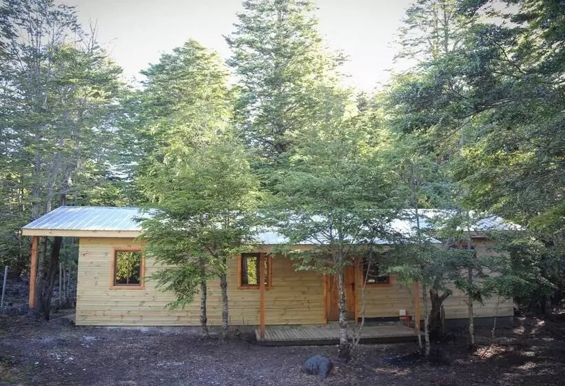 Llaima Camp