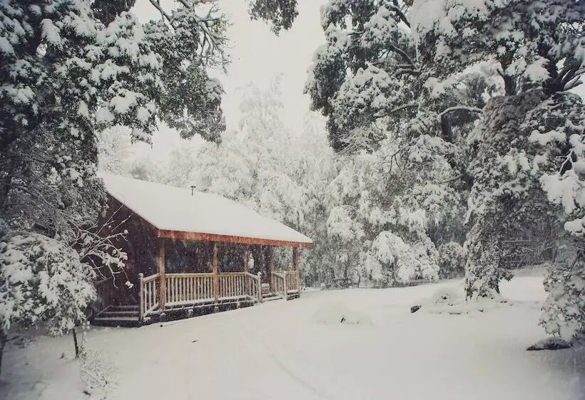 Llaima Camp