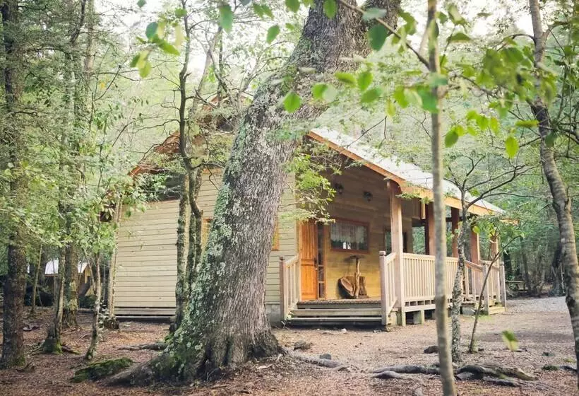 Llaima Camp